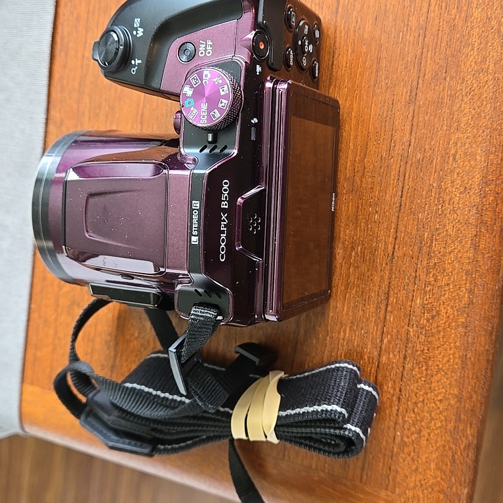 Nikon Coolpix b500